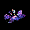 Kus by 0xmons — GAN AI artwork onchain