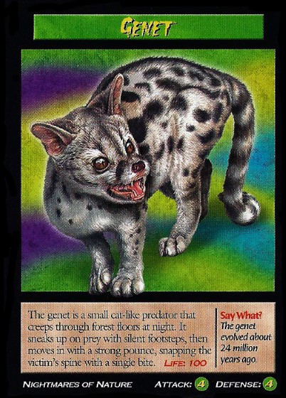 GENET by JP Janssen